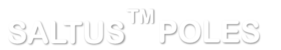 SALTUS Poles logo